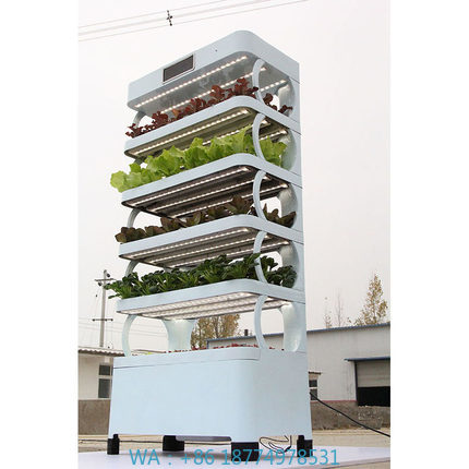 ระบบปลูกพืชไฮโดรโปนิกส์ในบ้านแ - Smart Home Diy บทวิจารณ์และราคา
