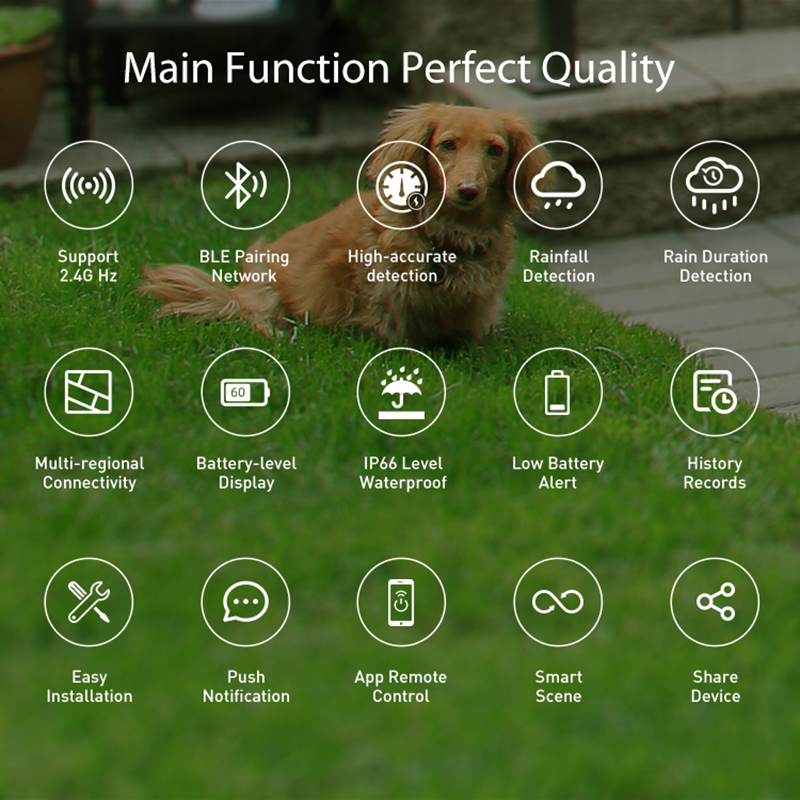 เซ็นเซอร์ฝน WiFi ตรวจจับปริมาณ - Smart Home Nas บทวิจารณ์และราคา